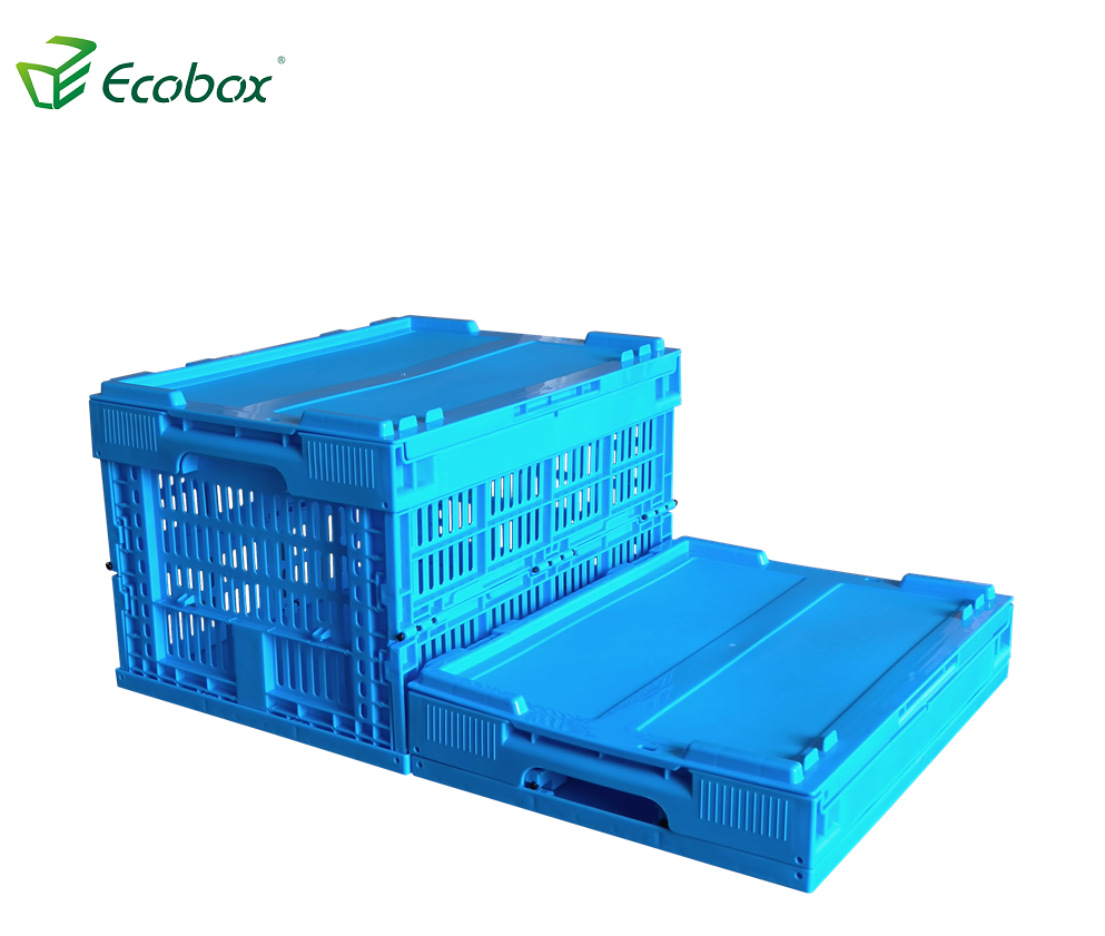 Ecobox blue color folding collapsible camping box 
